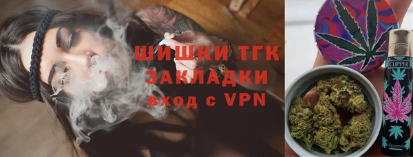 сатива Богородск
