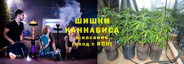 сатива Богородск