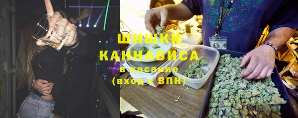 сатива Богородск