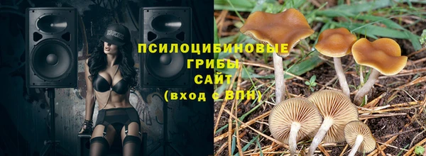 винт Богданович