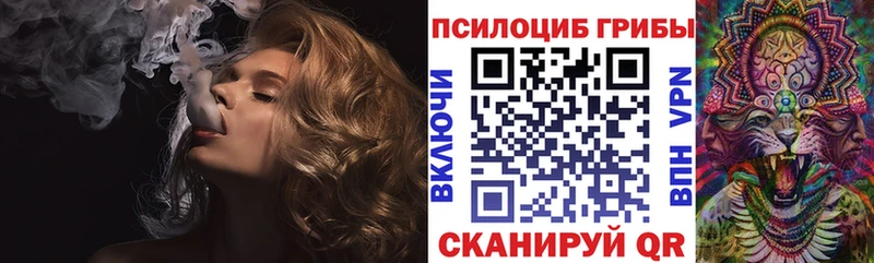 дарк нет формула  Северск  Псилоцибиновые грибы Psilocybine cubensis 